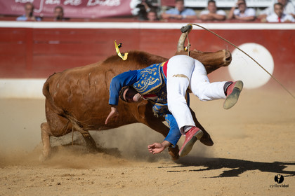 Mont-de-Marsan championnat de France de course landaise 2019