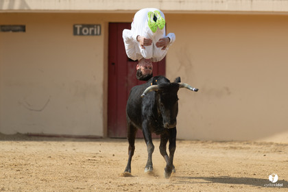 Course landaise Le Houga Ganadéria Dussau Cuadrilla Alexandre Brethes