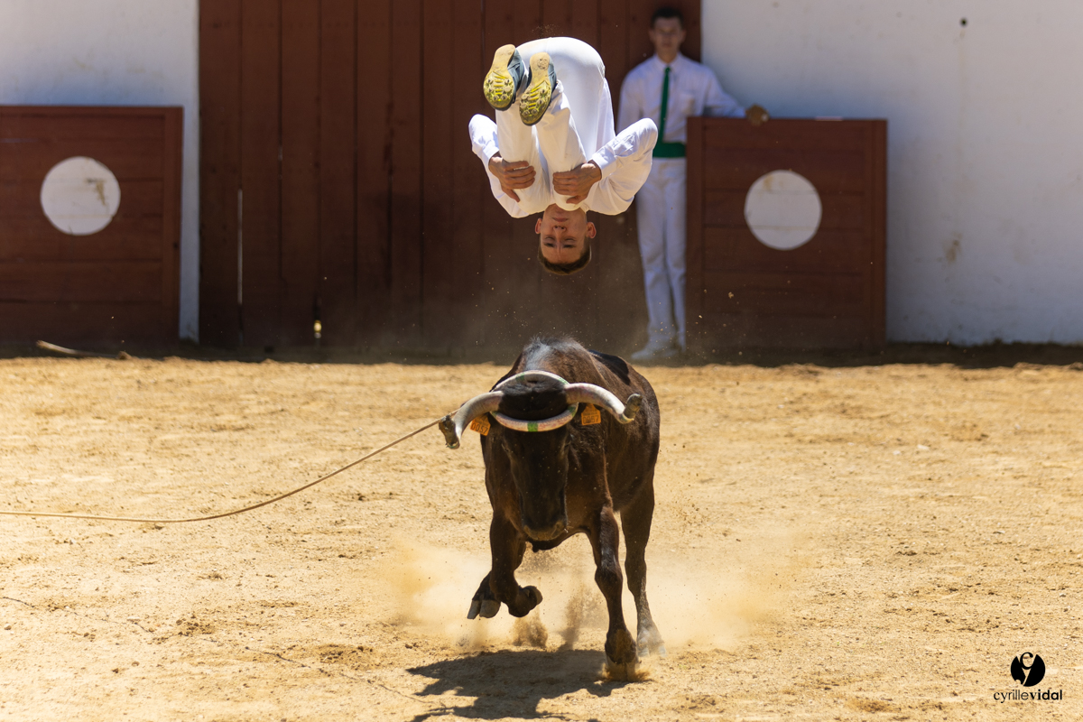 Saint-Cricq Chalosse course landaise de promotion Ganadéria Deyris Cuadrilla Jérémy Lafitte