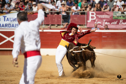 Mont-de-Marsan championnat de France de course landaise 2019