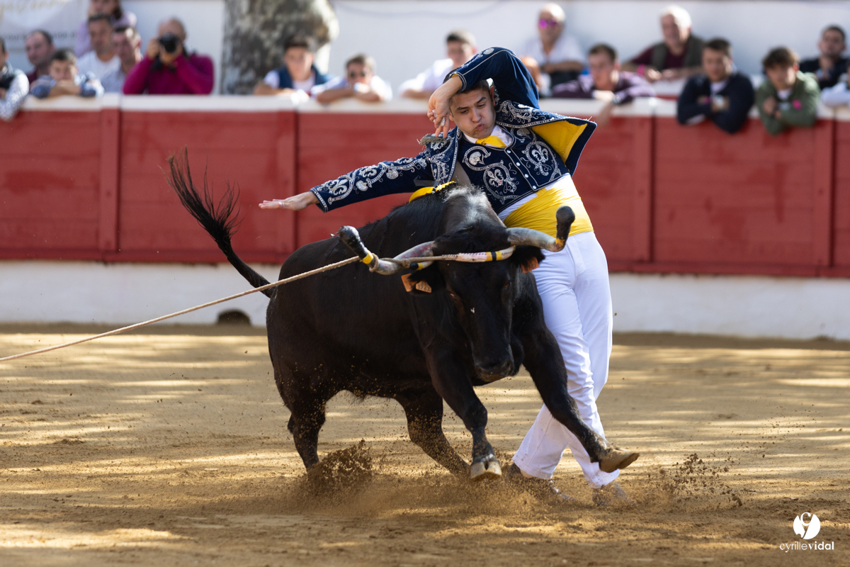 Nogaro Championnat de France de course landaise 2022