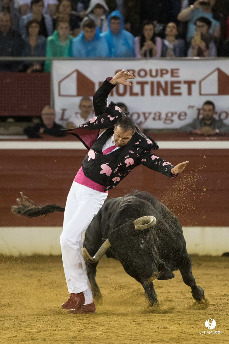 Mont-de-Marsan festival Art et Courage