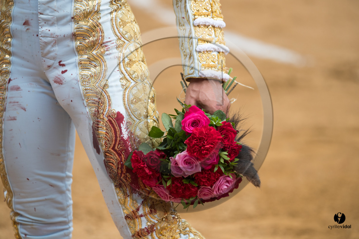 Mont-de-Marsan corrida de Garcigrande pour El Juli et Juan Bautista