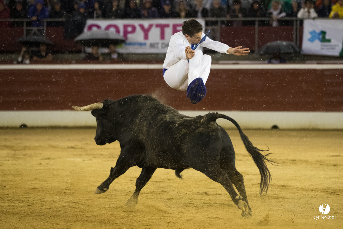 Mont-de-Marsan festival Art et Courage