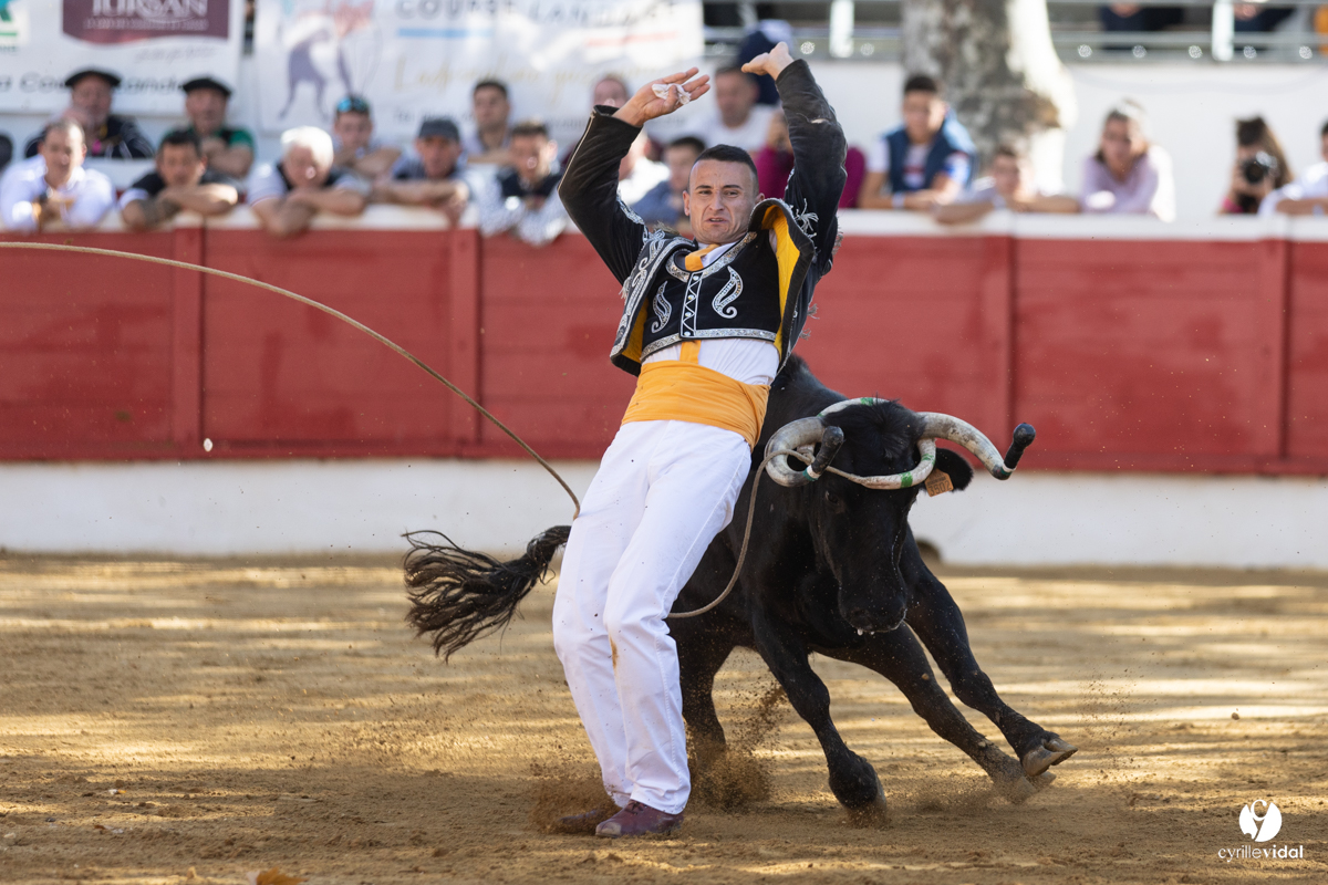 Nogaro Championnat de France de course landaise 2022