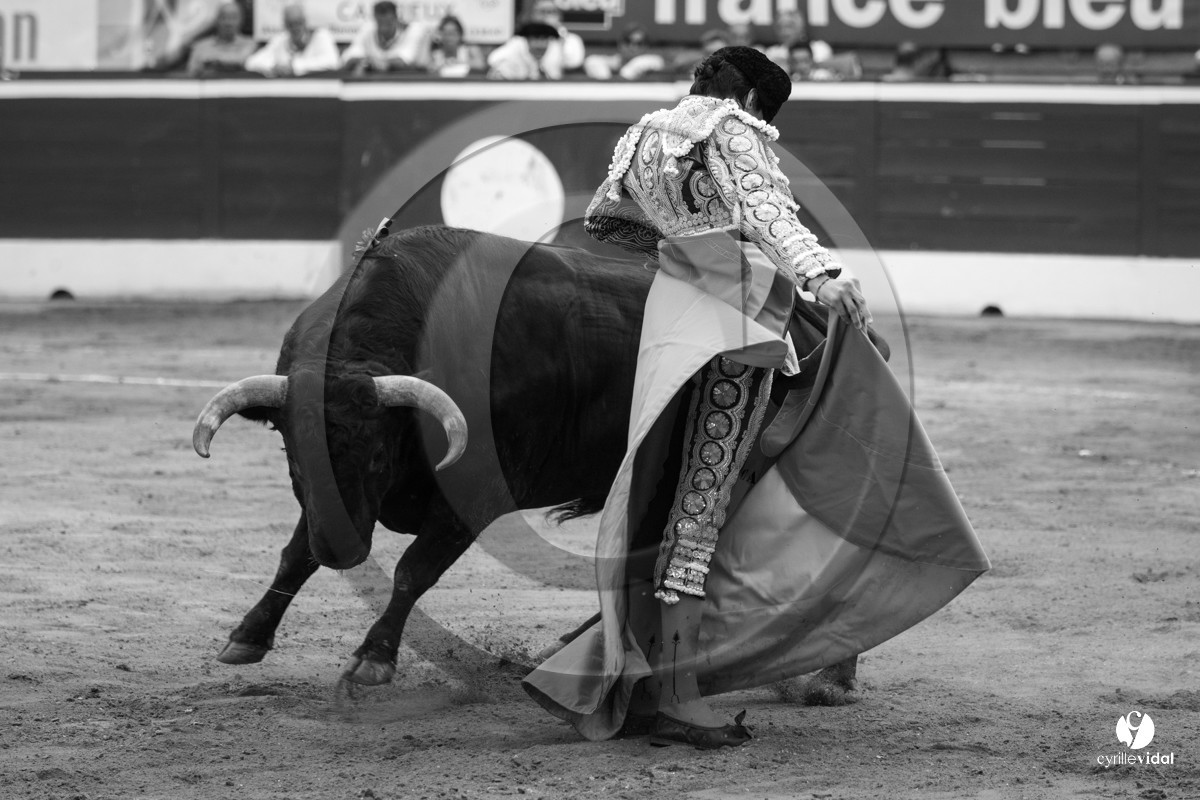 Mont-de-Marsan corrida de Jandilla pour Padilla - Talavante - Roca Rey