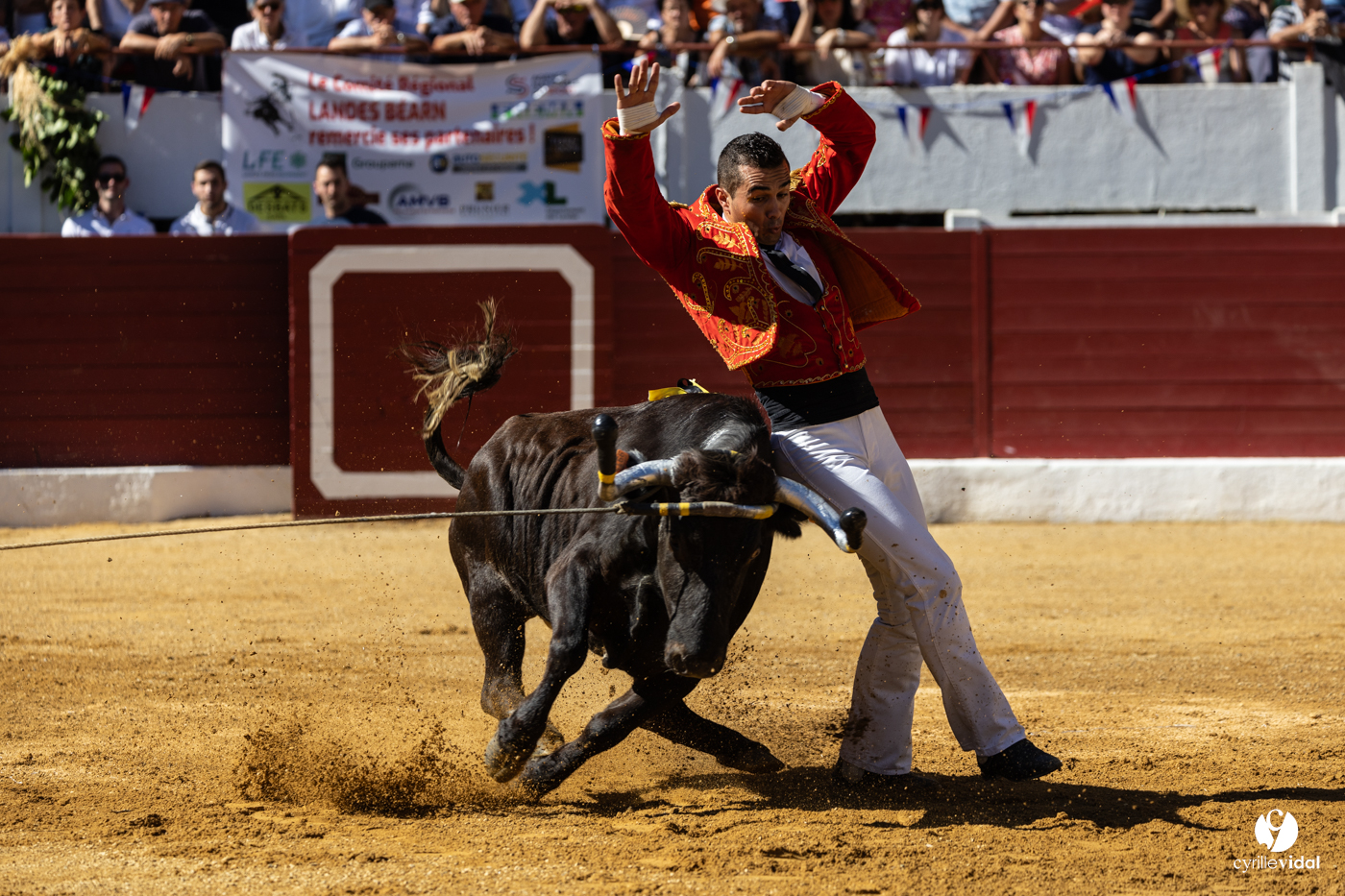 Aire-sur-l'Adour Championnat de France de course landaise 2023
