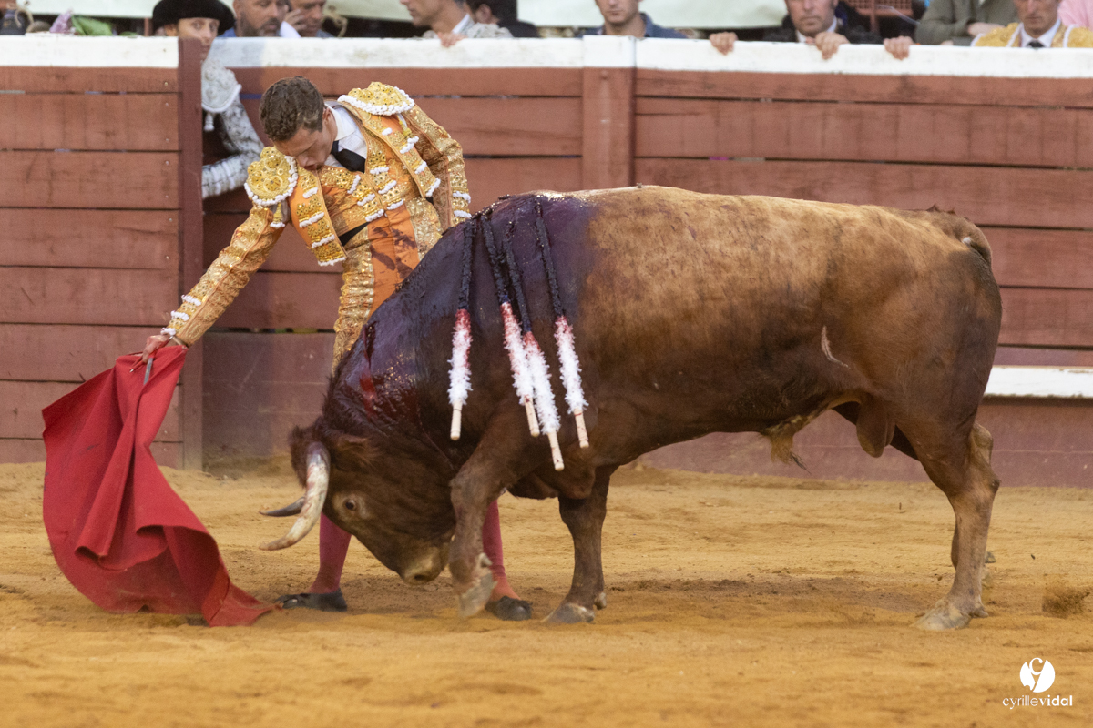 Corrida de Villeneuve-de-Marsan