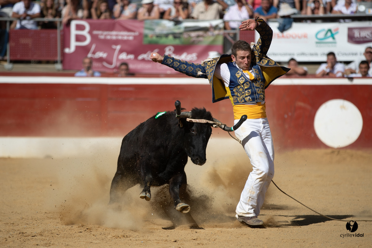 Mont-de-Marsan championnat de France de course landaise 2019
