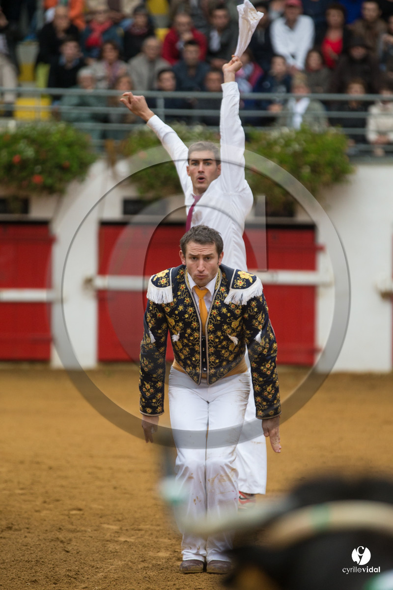 Nogaro Championnatde France de Course Landaise 2017