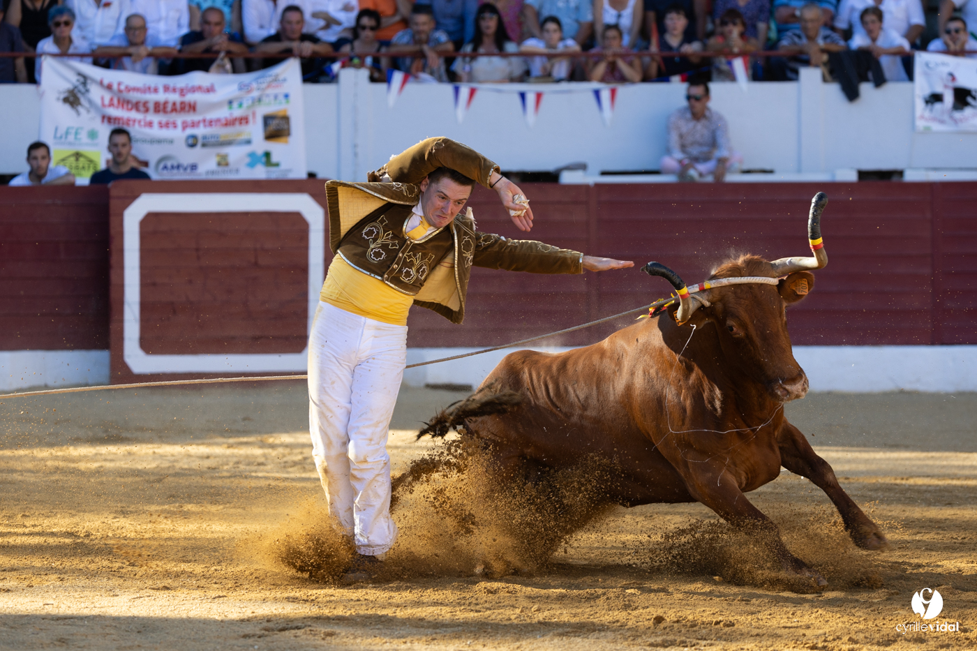 Aire-sur-l'Adour Championnat de France de course landaise 2023