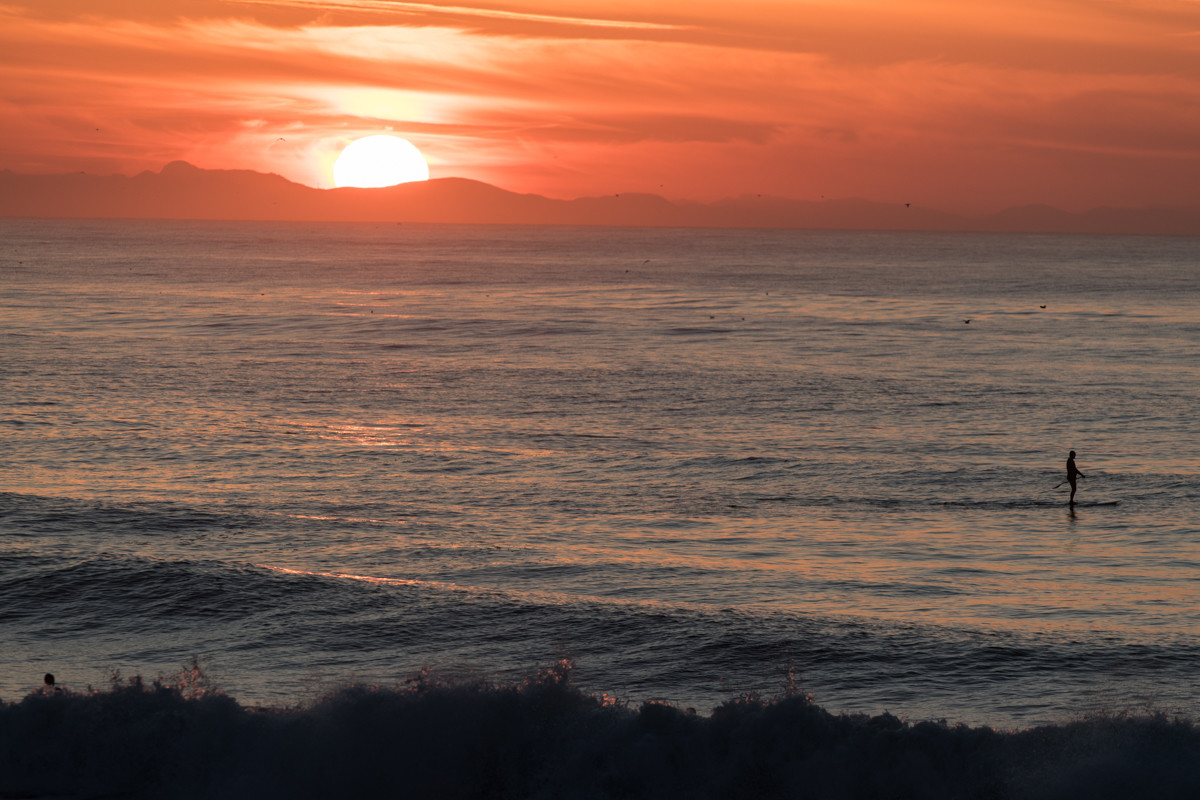 Paysages des Landes