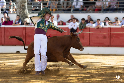 Nogaro Championnat de France de course landaise 2022