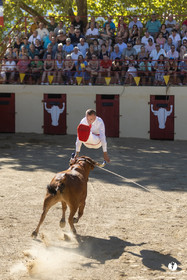 Course landaise