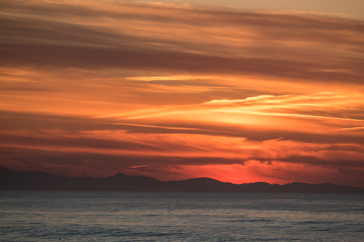 Paysages des Landes
