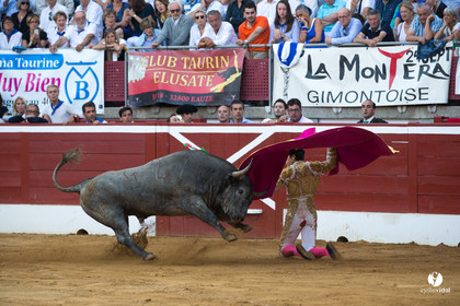 Mont-de-Marsan corrida d'Adolfo Martin