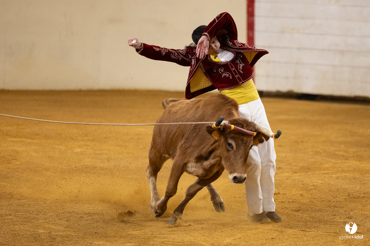 Horsarrieu course landaise du boléro d'Argent