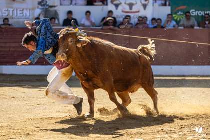 Aire-sur-l'Adour Championnat de France de course landaise 2023