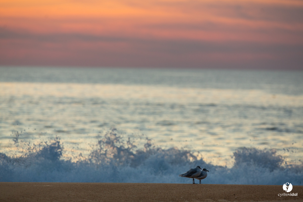 Océan Capbreton - Hossegor et Lac