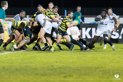 Stade Montois Rugby - Vannes