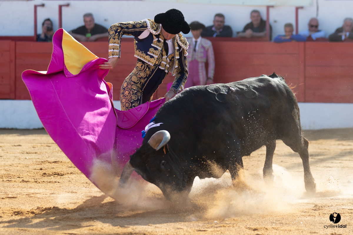 Corrida Aignan