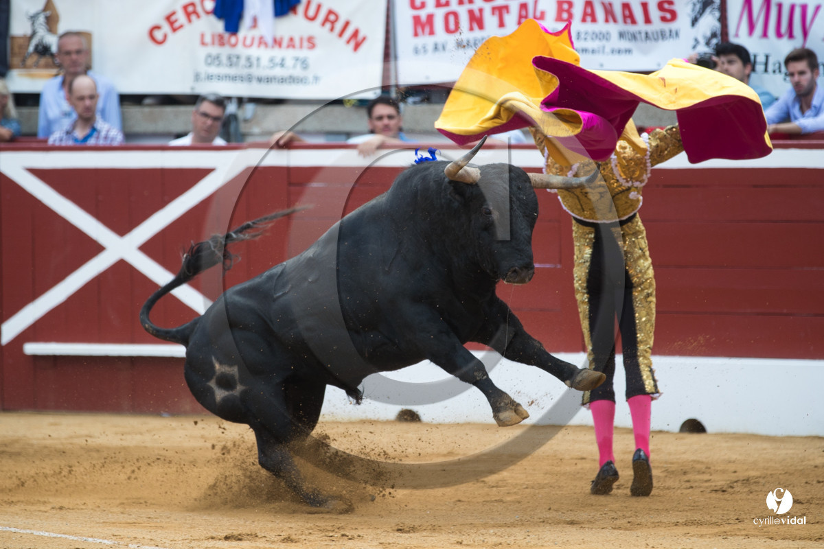 Mont-de-Marsan corrida de Jandilla pour Padilla - Talavante - Roca Rey