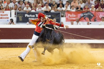 Dax concours landais 2022