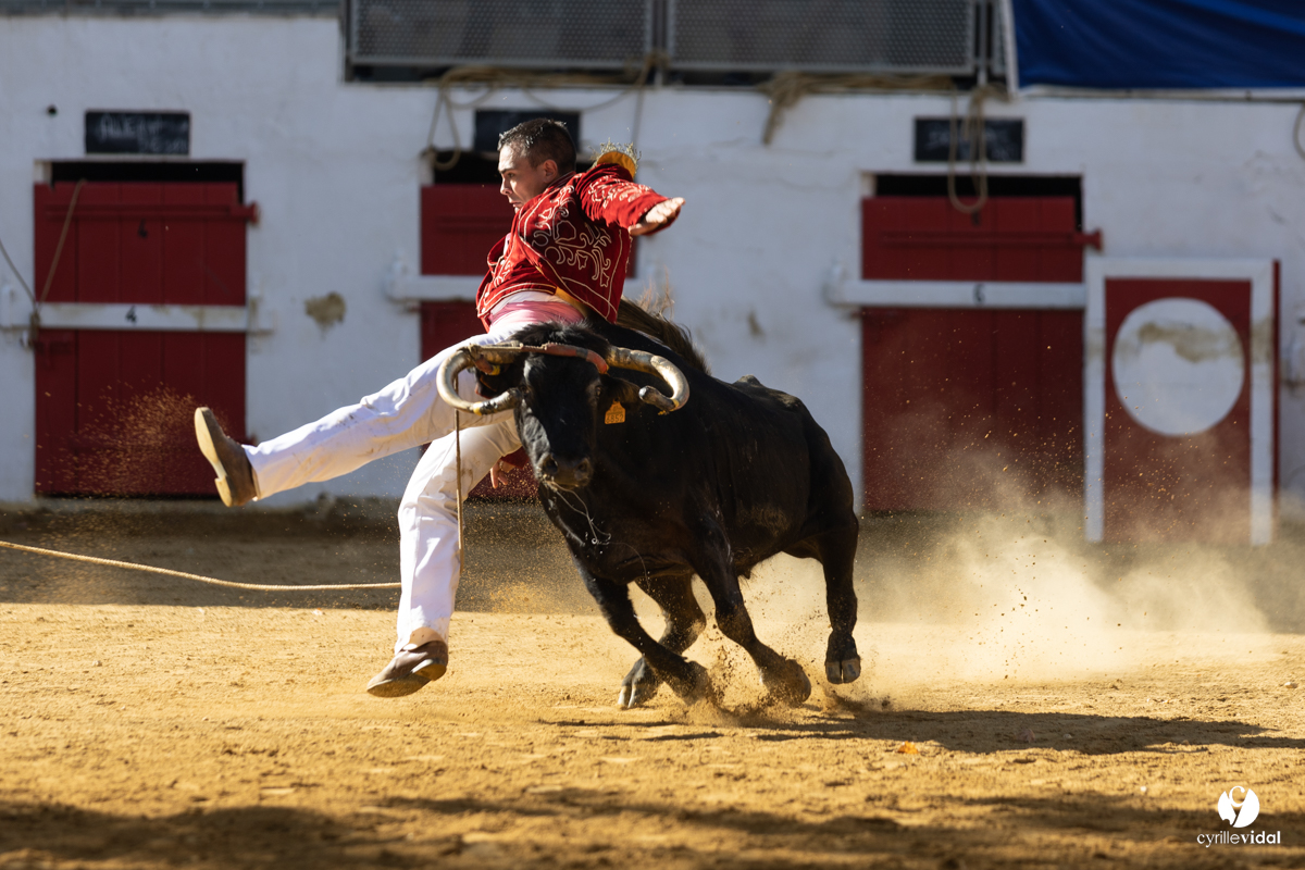 Nogaro Championnat de France de course landaise 2022