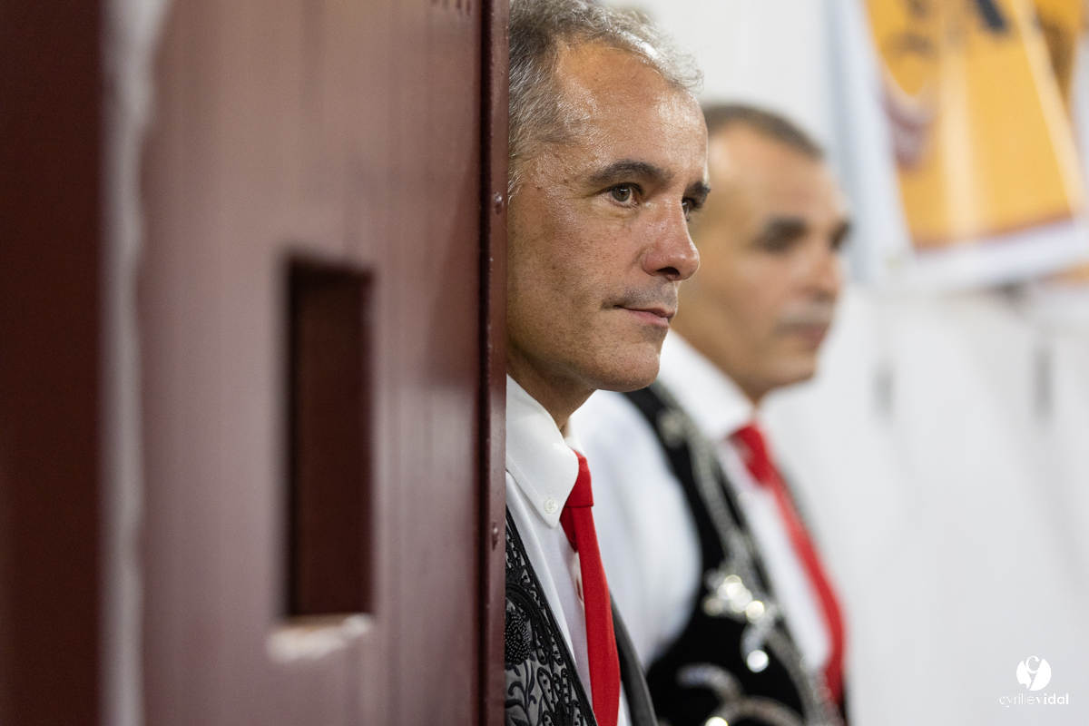 Dax concours landais 2022