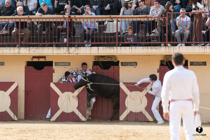 Course landaise Le Houga Ganadéria Dussau Cuadrilla Alexandre Brethes