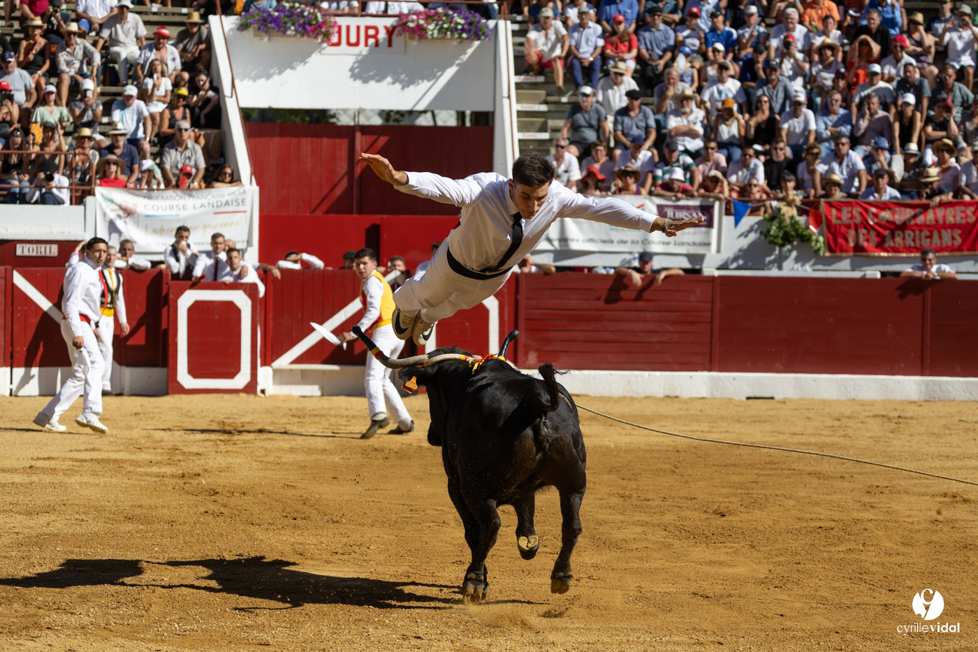 Aire-sur-l'Adour Championnat de France de course landaise 2023