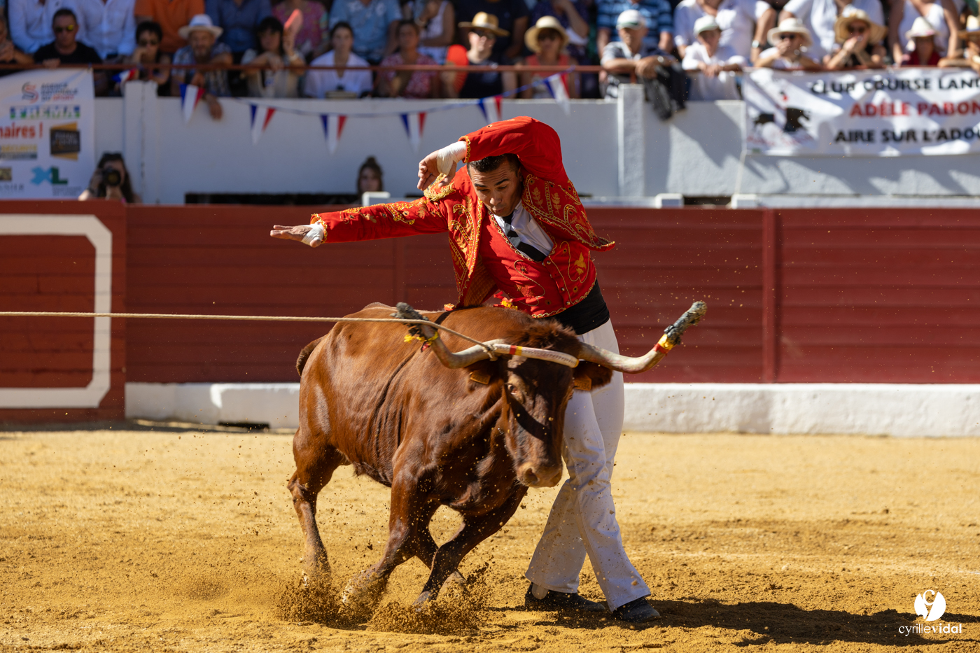 Aire-sur-l'Adour Championnat de France de course landaise 2023