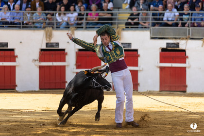 Nogaro Championnat de France de course landaise 2022