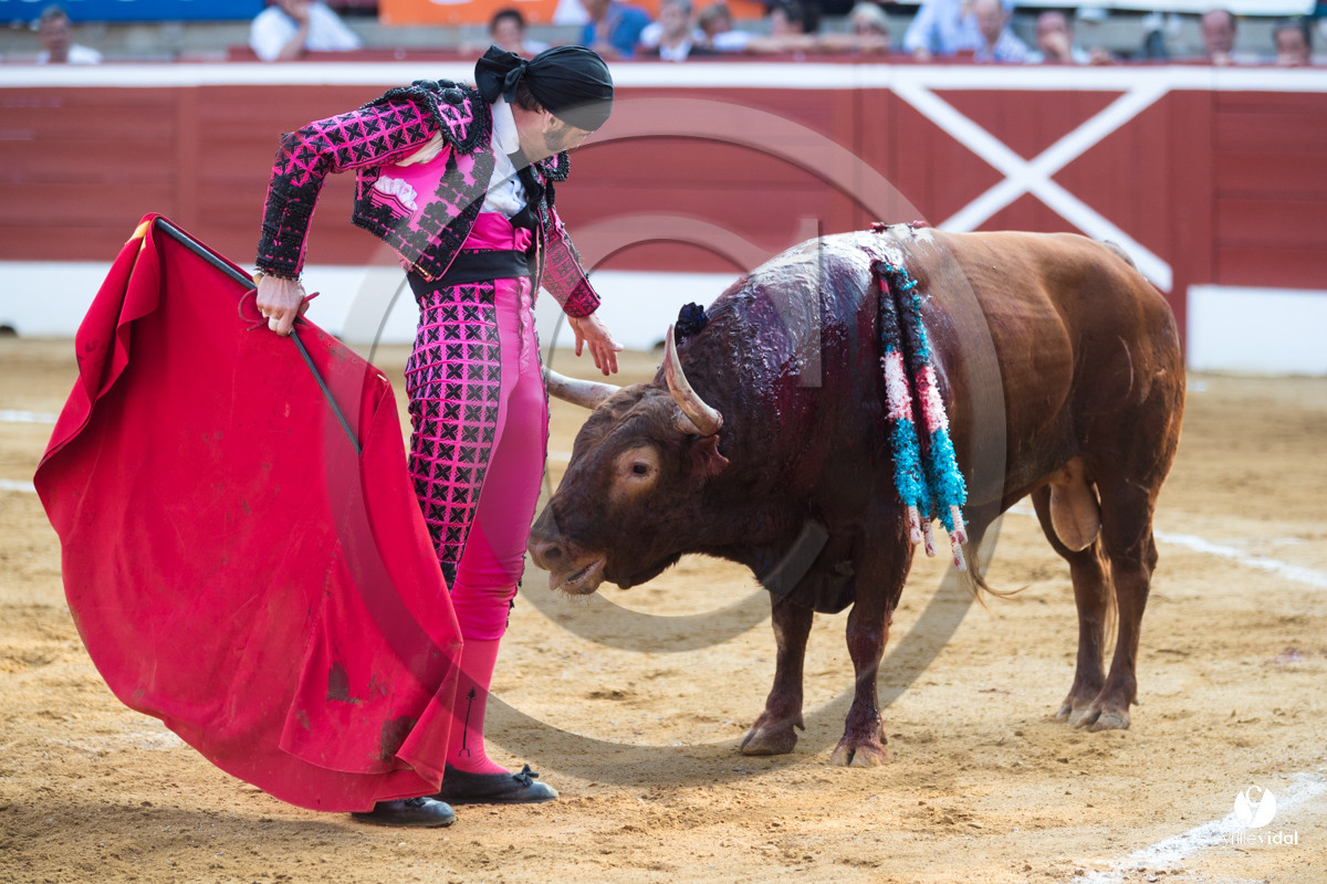 Mont-de-Marsan corrida de Jandilla pour Padilla - Talavante - Roca Rey