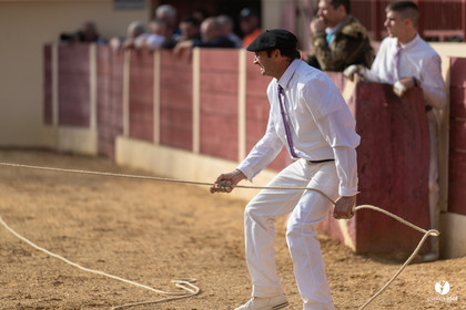 Course landaise Le Houga Ganadéria Dussau Cuadrilla Alexandre Brethes