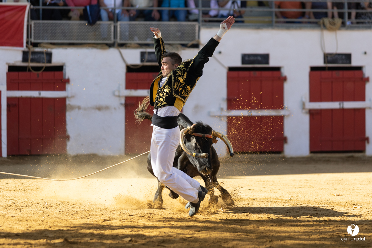 Nogaro Championnat de France de course landaise 2022