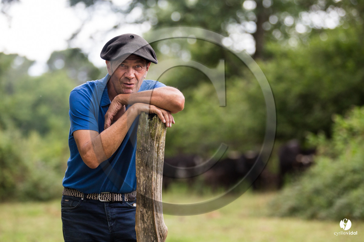 Photos du livre Ganadère landais en 2020