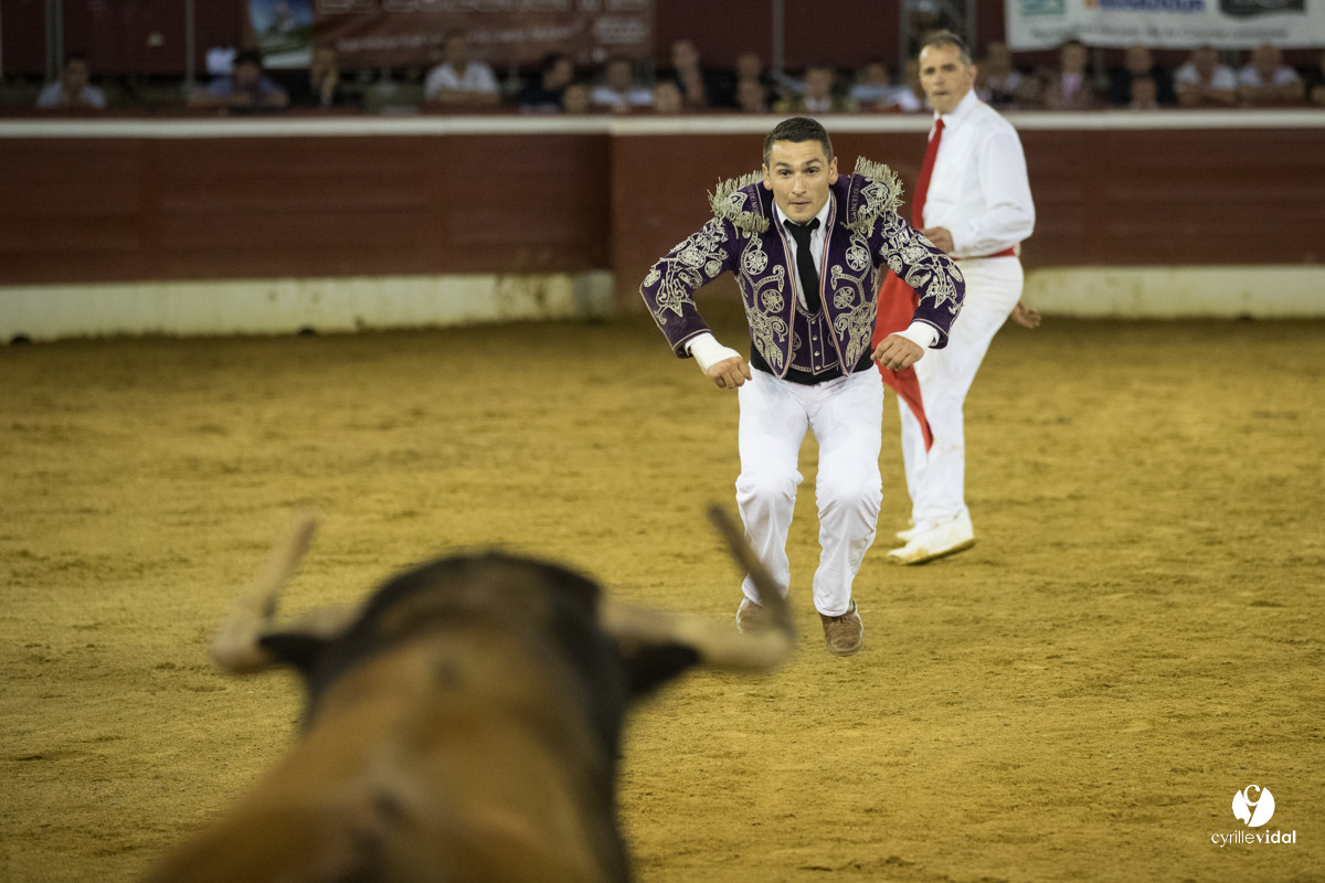 Mont-de-Marsan festival Art et Courage