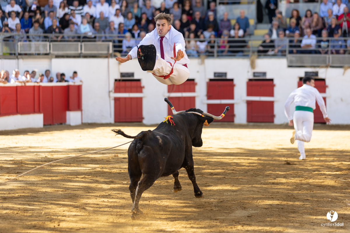Nogaro Championnat de France de course landaise 2022