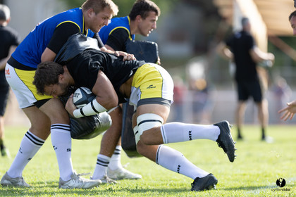 Stade Montois Rugby - Section Paloise