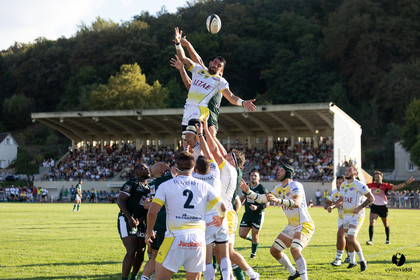 Stade Montois Rugby - Section Paloise