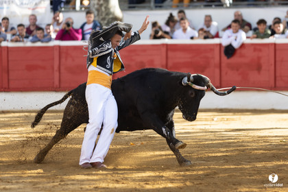 Nogaro Championnat de France de course landaise 2022