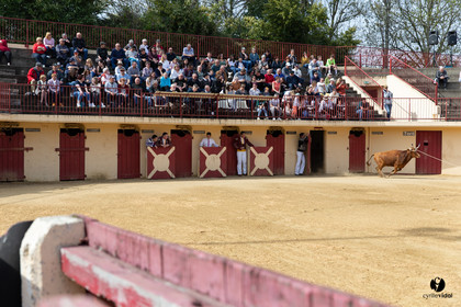 Course landaise Le Houga Ganadéria Dussau Cuadrilla Alexandre Brethes