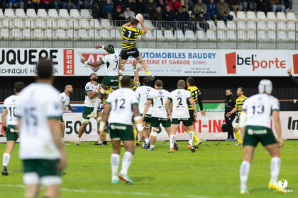 Stade Montois Rugby - Montauban