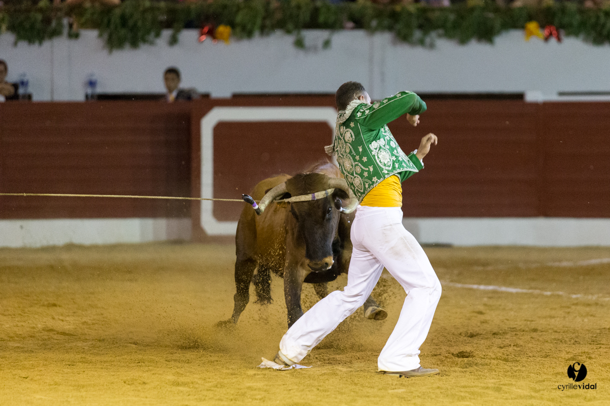 Aire sur l'Adour course landaise génération Aturine