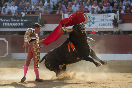 corrida, toro, vic fezensac, alcurrucen, michelito, morenito de aranda