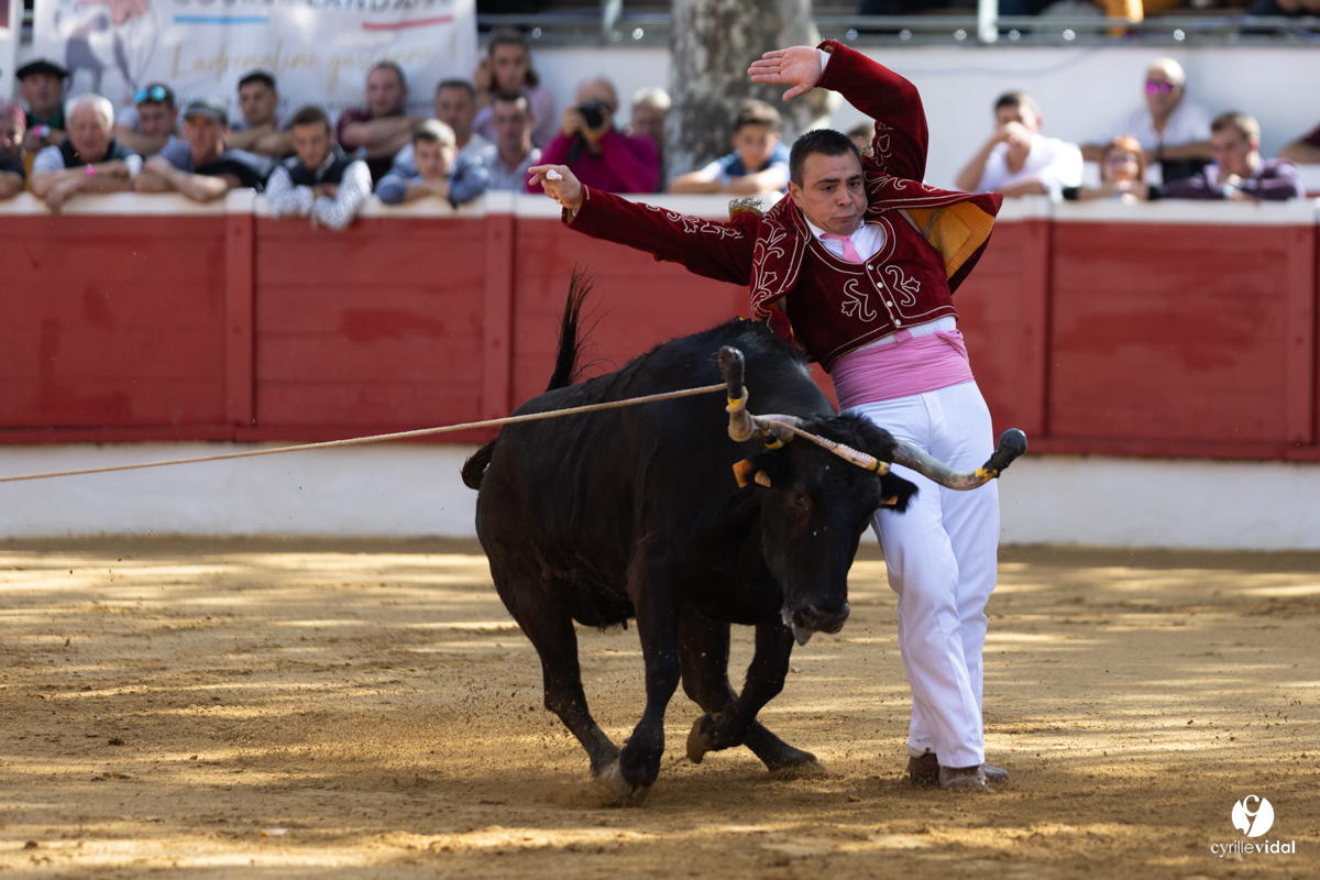 Nogaro Championnat de France de course landaise 2022