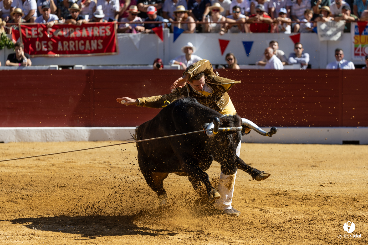 Aire-sur-l'Adour Championnat de France de course landaise 2023
