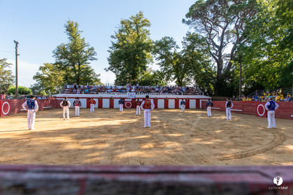Course landaise à Panjas