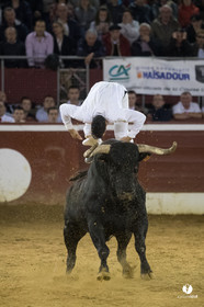 Mont-de-Marsan festival Art et Courage